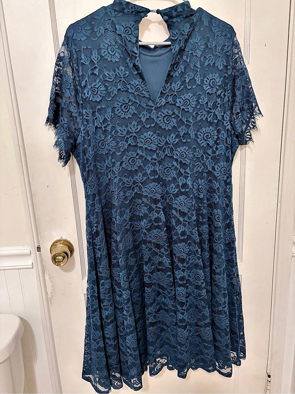 Torrid Floral Lace Mini Dress in Blue